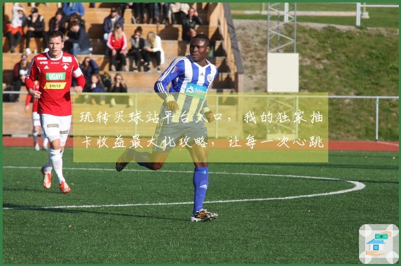 玩转买球站平台入口，我的独家抽卡收益最大化攻略，让每一次心跳都有回报