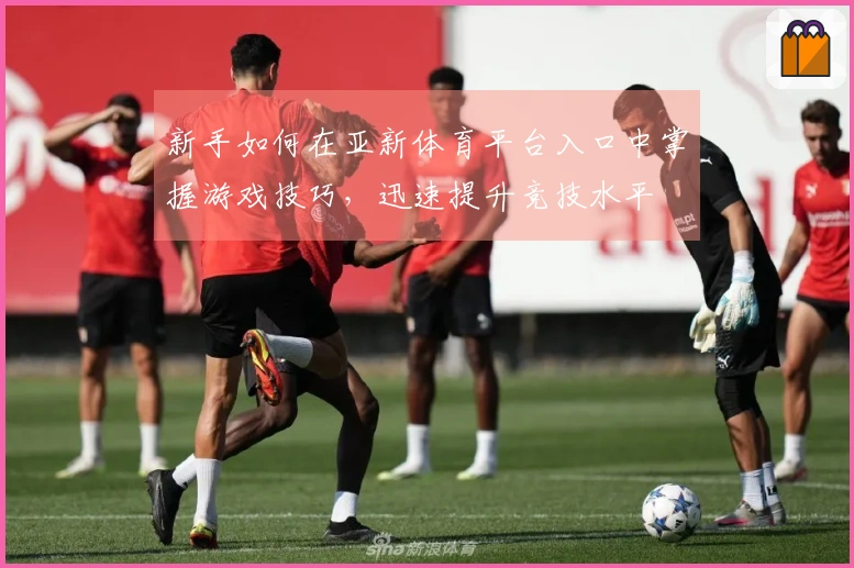 新手如何在亚新体育平台入口中掌握游戏技巧，迅速提升竞技水平