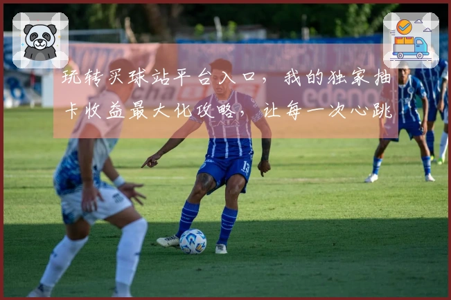 玩转买球站平台入口，我的独家抽卡收益最大化攻略，让每一次心跳都有回报